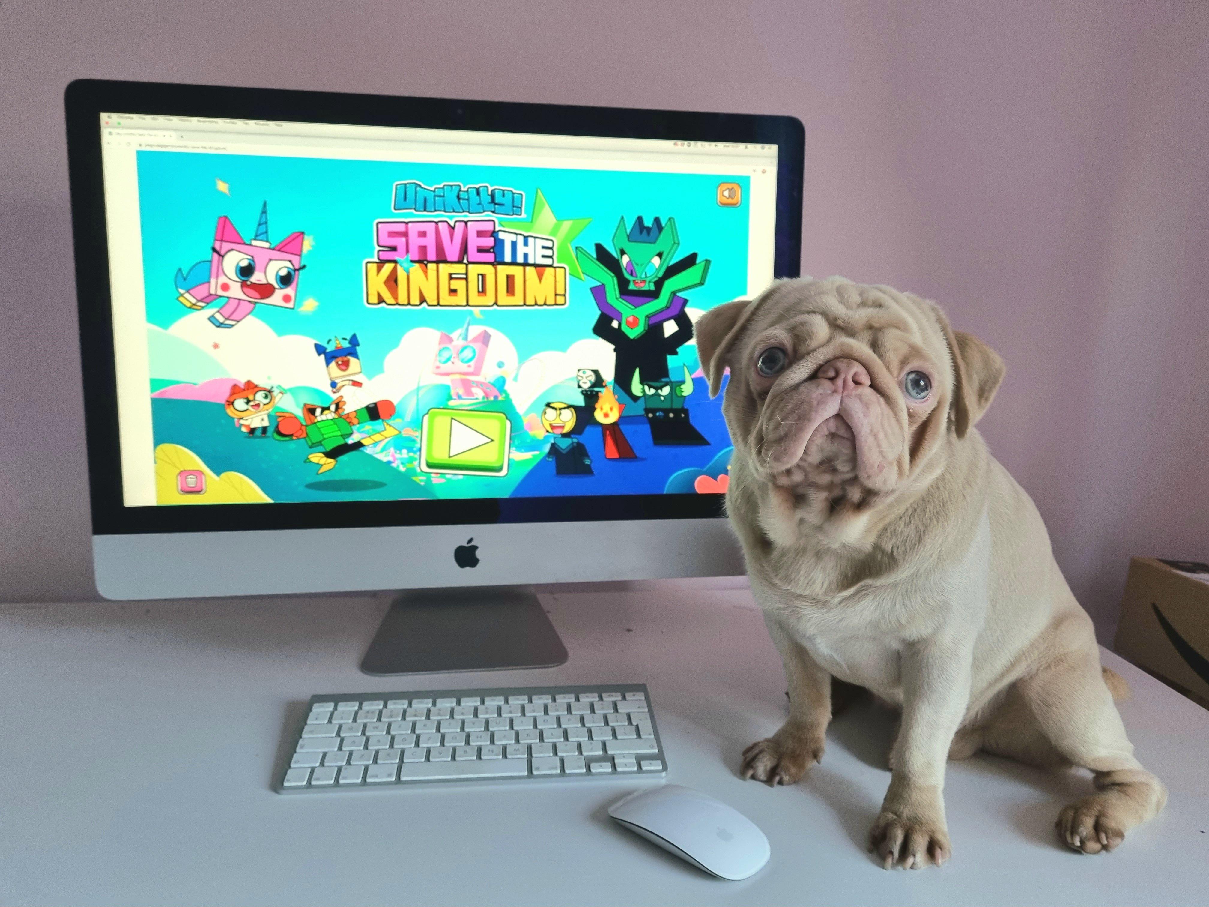 Doggy Gaming on the go!
