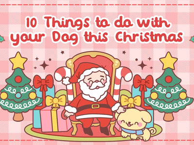 10 Things To Do With Your Dog this Christmas