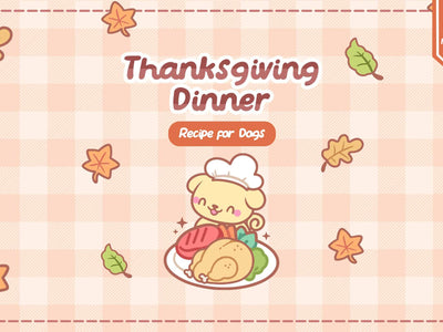 A Dog Friendly Thanksgiving Feast! A How-To Guide for Pet Parents