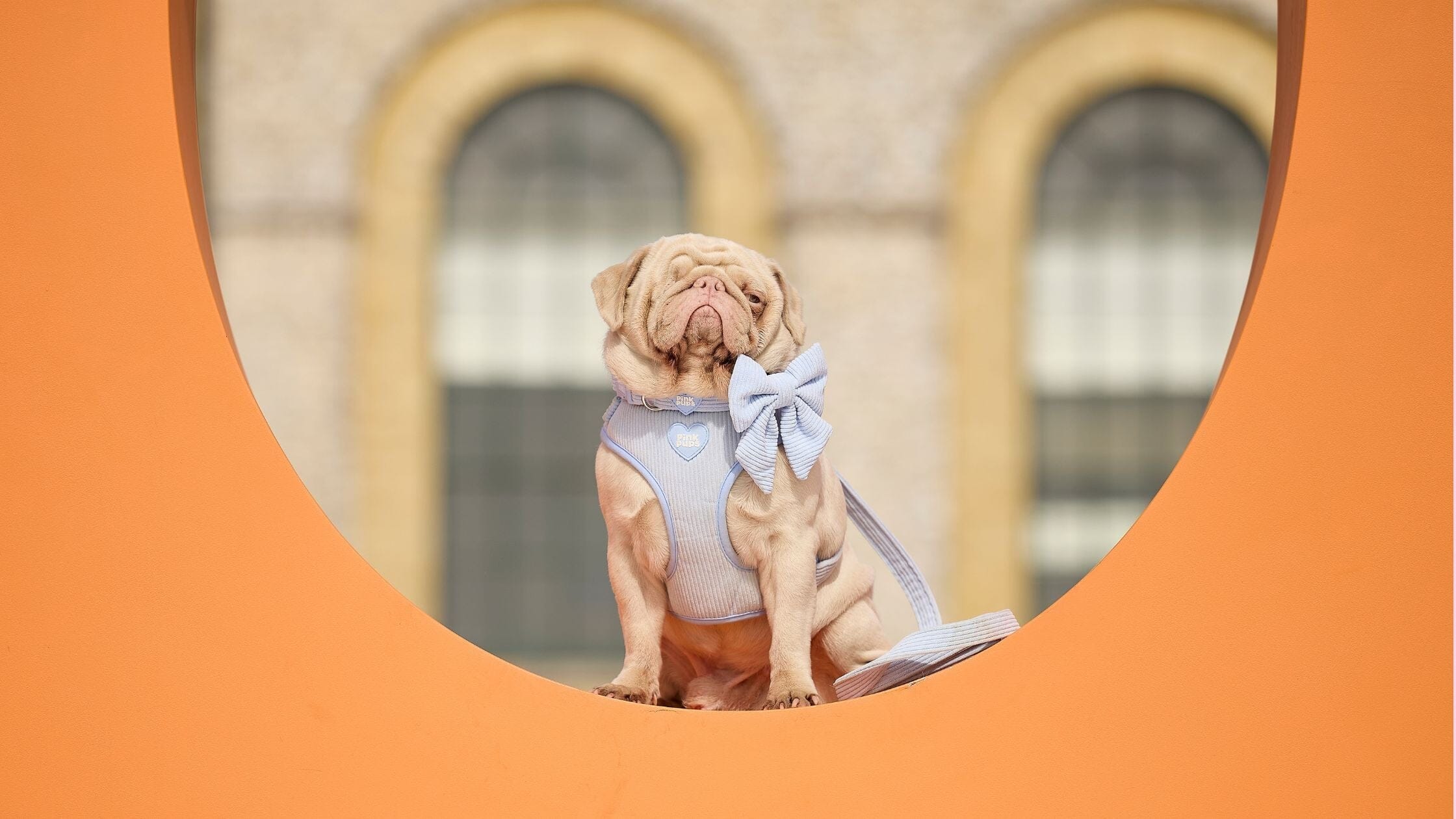 Goodwoof 2026 - The UK's Most Luxurious Dog Event