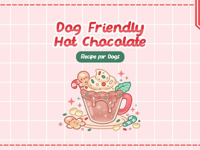How to Make Dog Friendly Hot Chocolate
