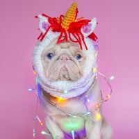 Must Have Dog Snoods for this Season