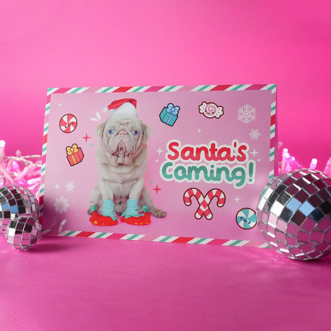 Milkshake Elf Christmas Card Accessories Milkshake the Pug