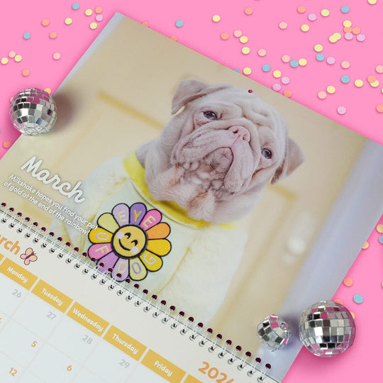 Milkshake's 2024 Calendar Milkshake the Pug