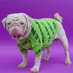 Pawlenciaga Designer Dog Sweater Pet Clothing Milkshake the Pug