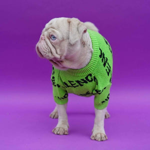 Pawlenciaga Designer Dog Sweater Pet Clothing Milkshake the Pug