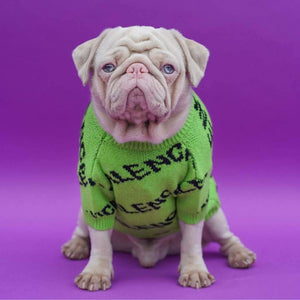 Pawlenciaga Designer Dog Sweater Pet Clothing Milkshake the Pug
