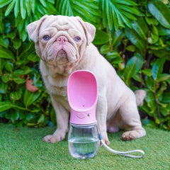 Portable Dog Water Bottle Accessories Milkshake the Pug
